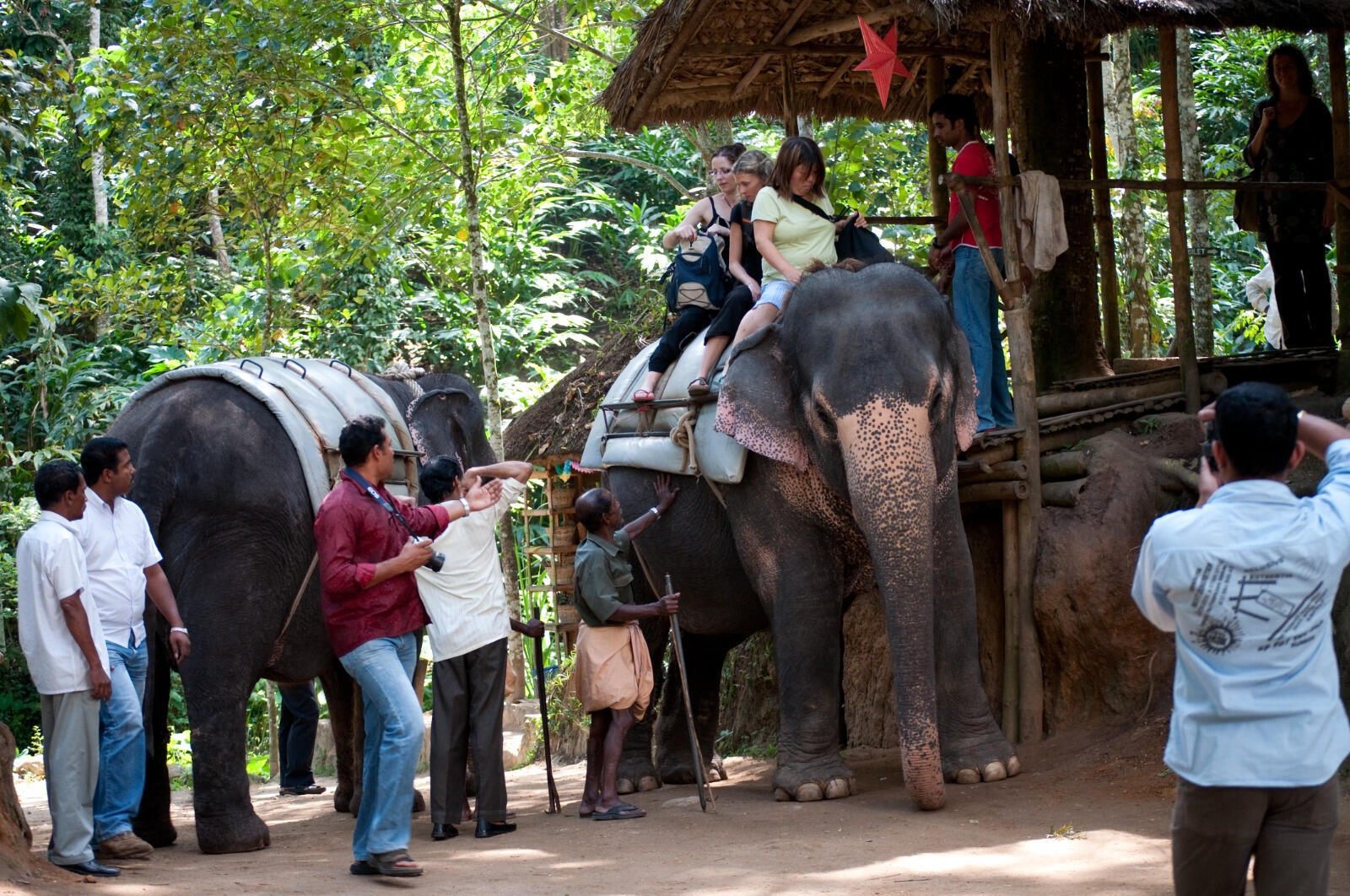Ride a Gentle Giant